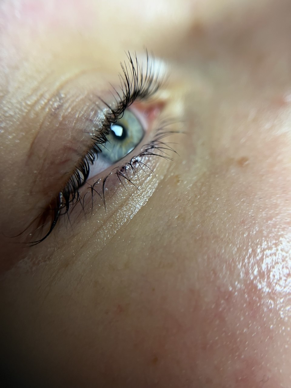 Lash tint result at SBW Beauty